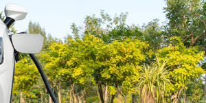 Elektrikli Araç mı, Dizel mi, Benzinli mi? Doğru Tercihi Yapmak İçin Rehber